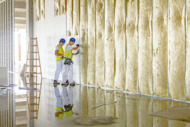 Best Cellulose Insulation in Marlborough, MO